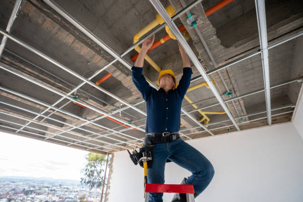 Best Plumbing Inspection Services  in Bulverde, TX